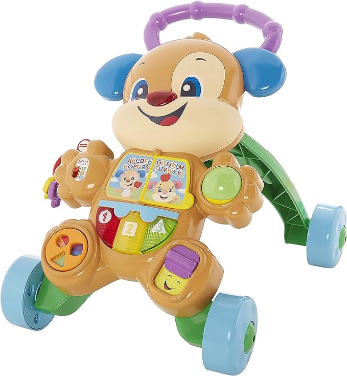 FP RYA PERRITO ANDADERA APRENDIZAJE